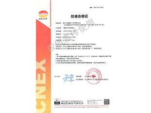 便攜式香蕉视频官网下载檢測儀